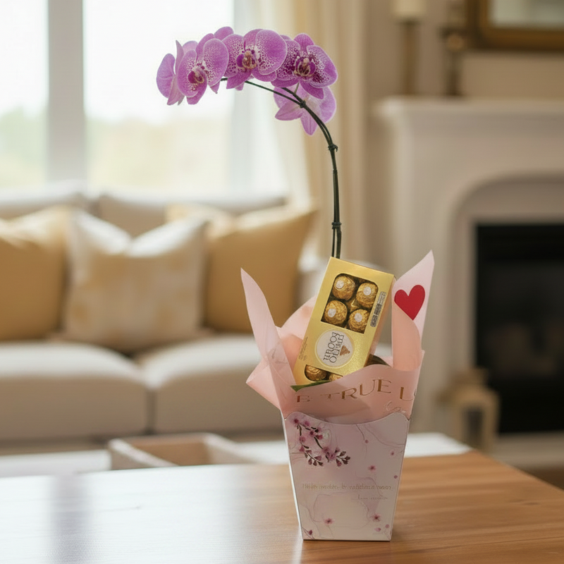 Orquídea Celebração com Bombons