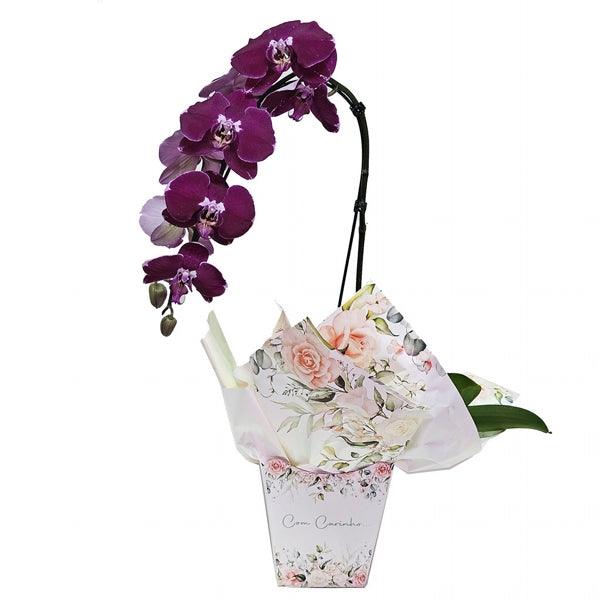 Orquídea Lilás Com Carinho - Cestas Company