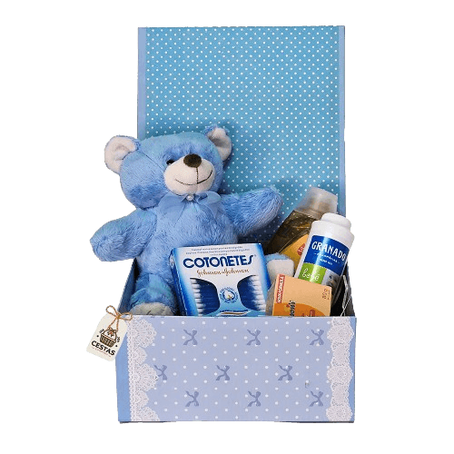 Kit Maternidade Primeiros Cuidados Rosa e Azul - Cestas Company