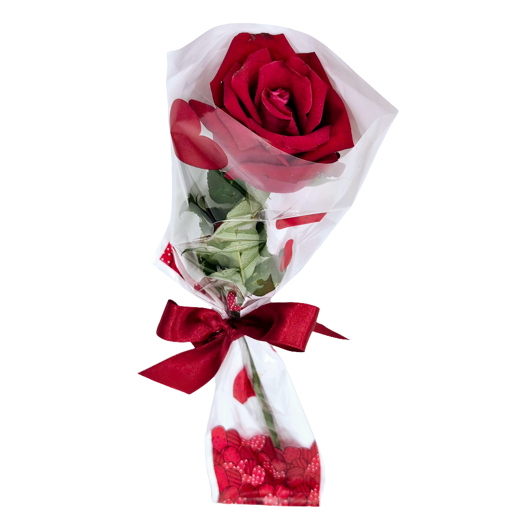 Oferta: Botão de Rosa embalado para presente