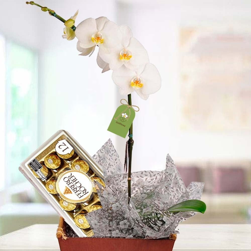 Orquídea e Bombons Ferrero