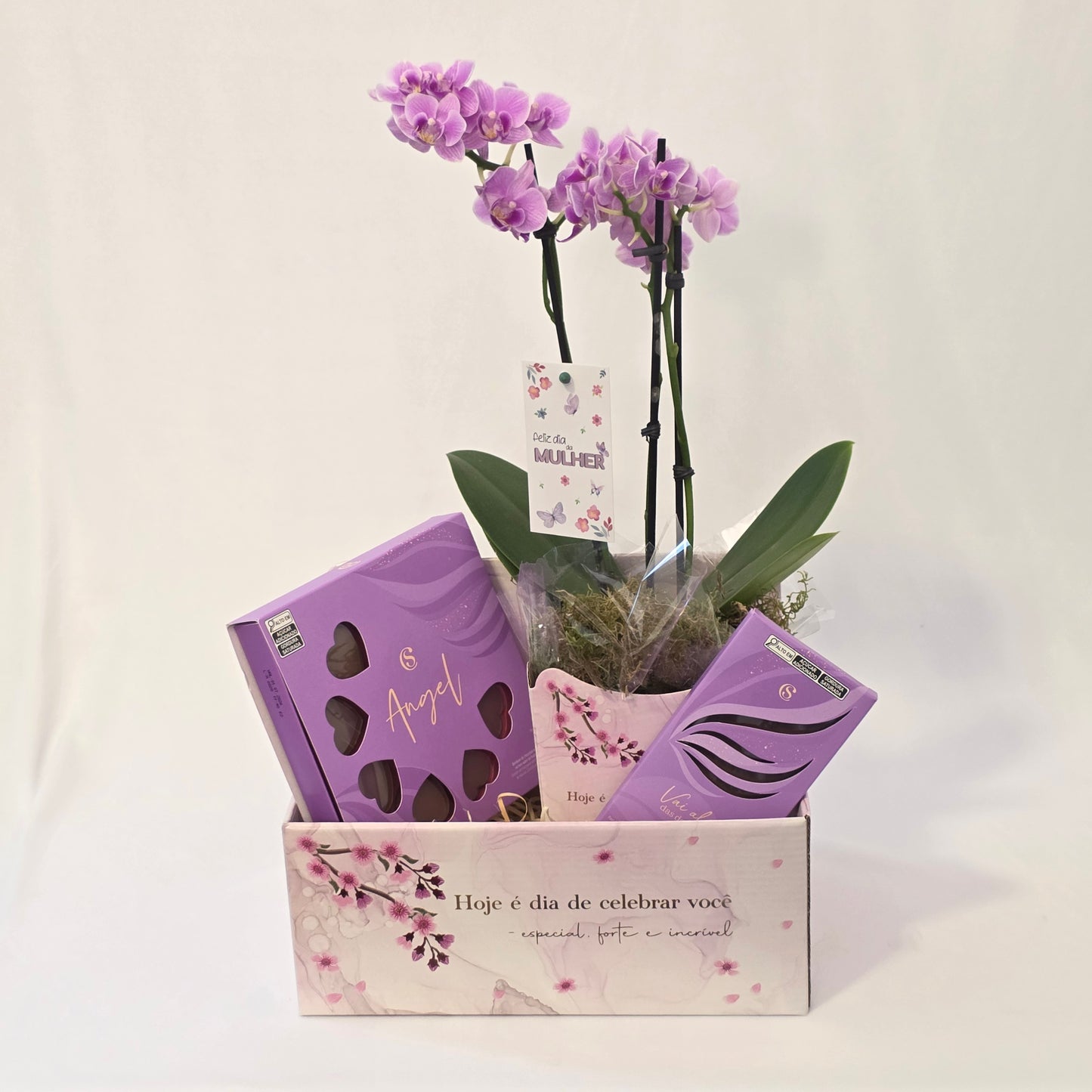 Cesta Hoje é Dia de Celebrar Você!