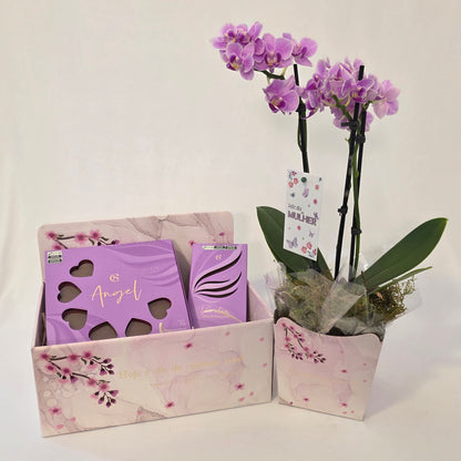 Cesta Hoje é Dia de Celebrar Você!