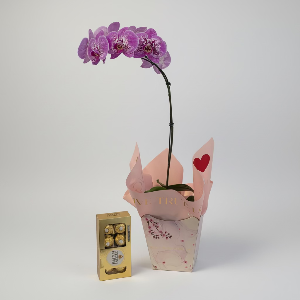 Orquídea Celebração com Bombons