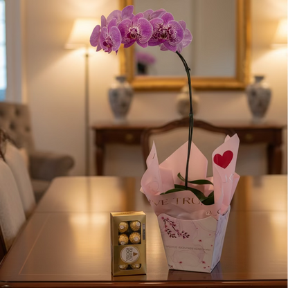 Orquídea Celebração com Bombons