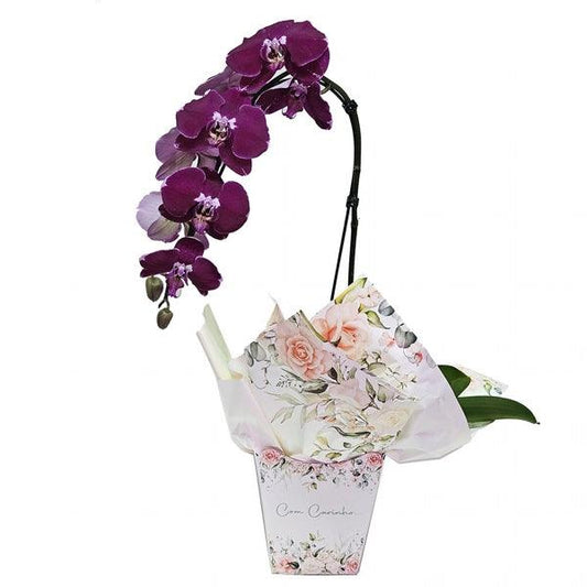 Orquídea Lilás Com Carinho - Cestas Company