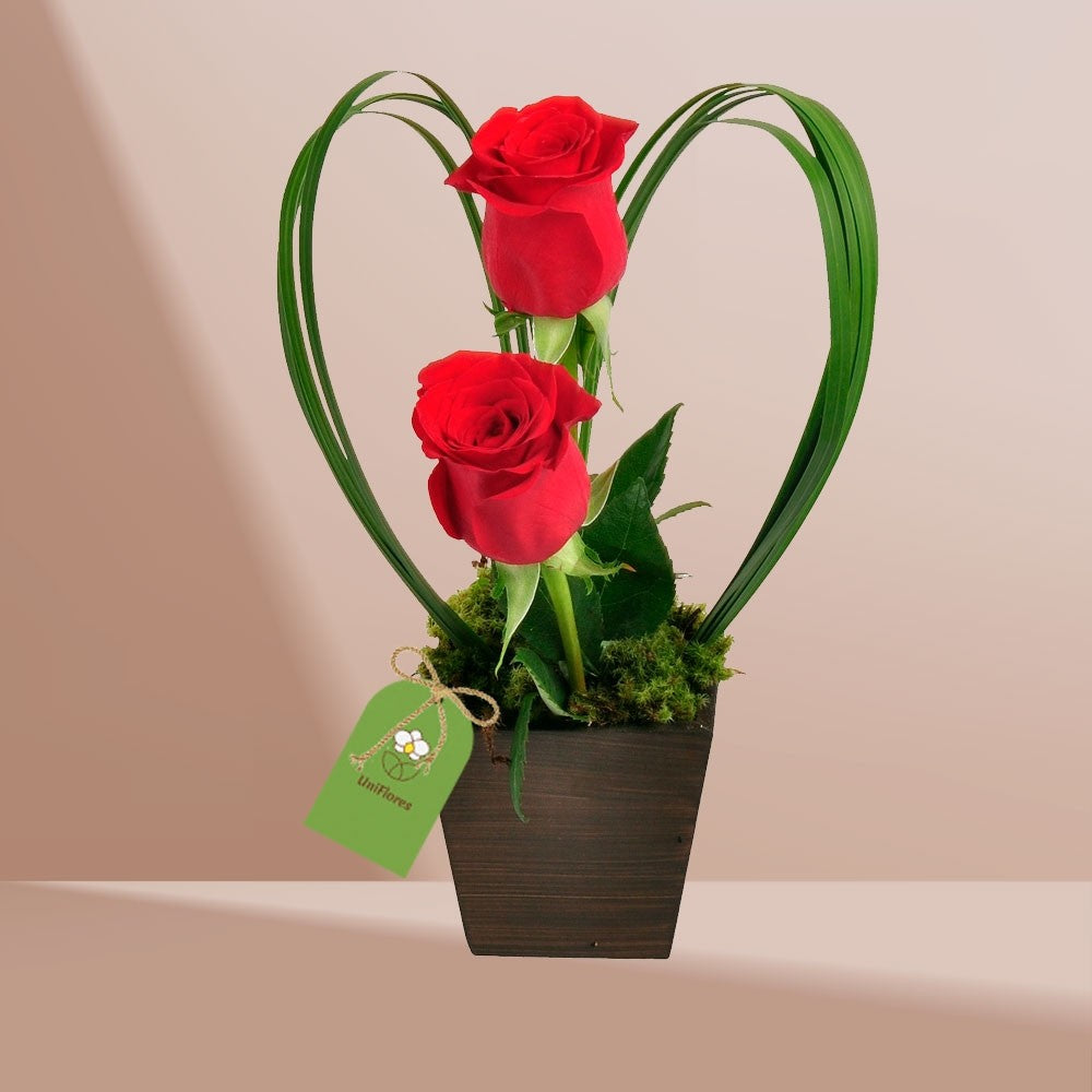 Encanto de Rosas Vermelhas