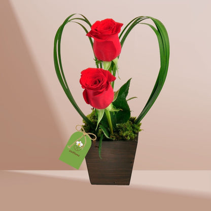 Encanto de Rosas Vermelhas