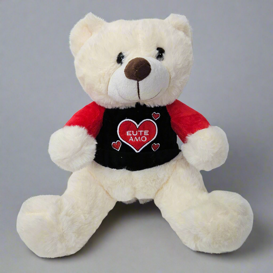 Little Colorful Teddy Bear