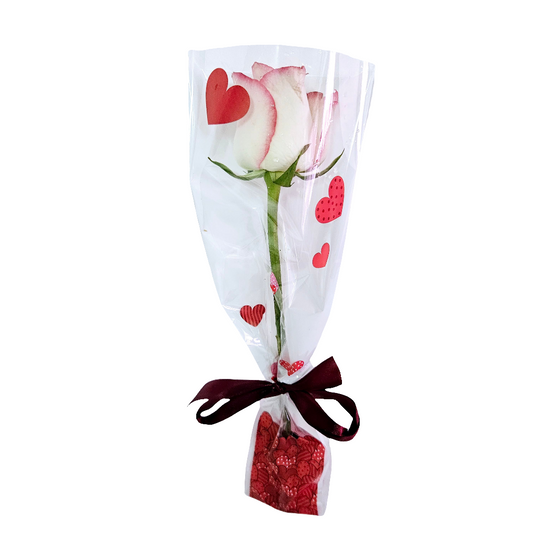 Oferta: Botão de Rosa embalado para presente
