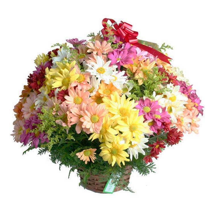 Cesta de Flores do Campo