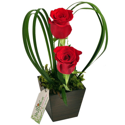 Encanto de Rosas Vermelhas