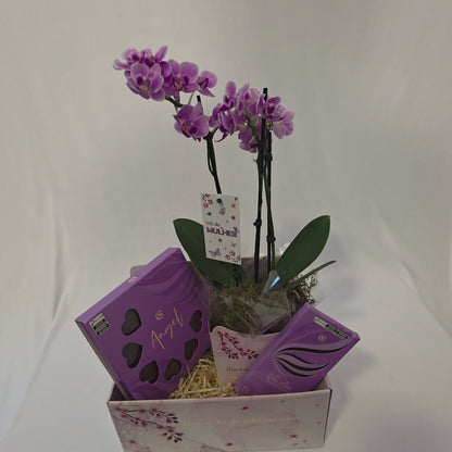 Cesta Hoje é Dia de Celebrar Você!