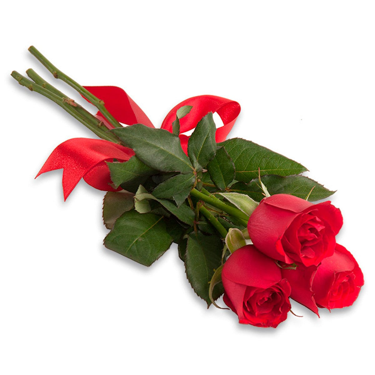Ramalhete Mimo de Rosas