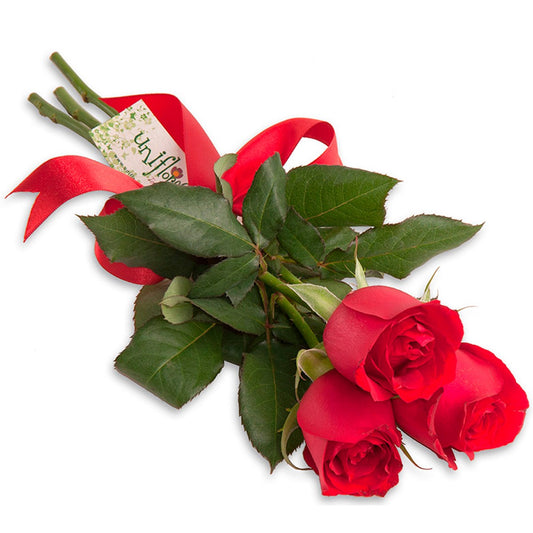 Ramalhete Mimo de Rosas