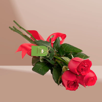 Ramalhete Mimo de Rosas