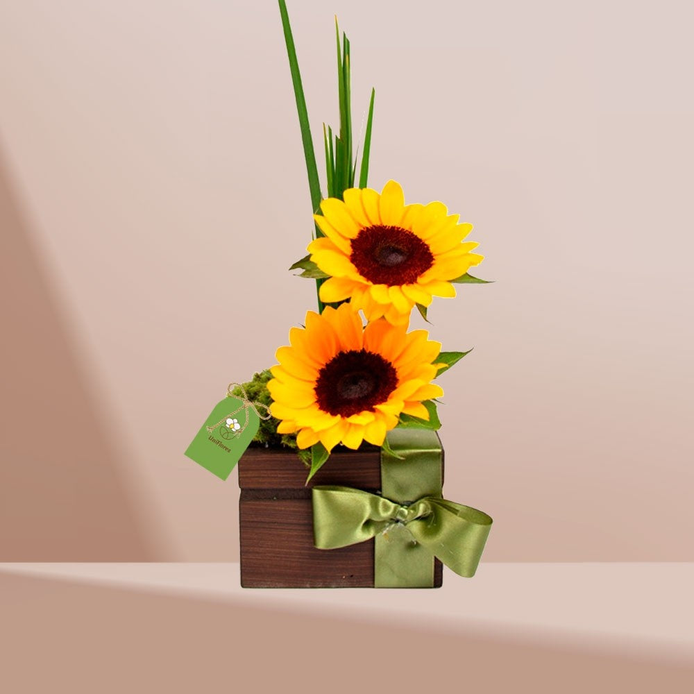 Arranjo Mimo de Girassóis - Cestas Company