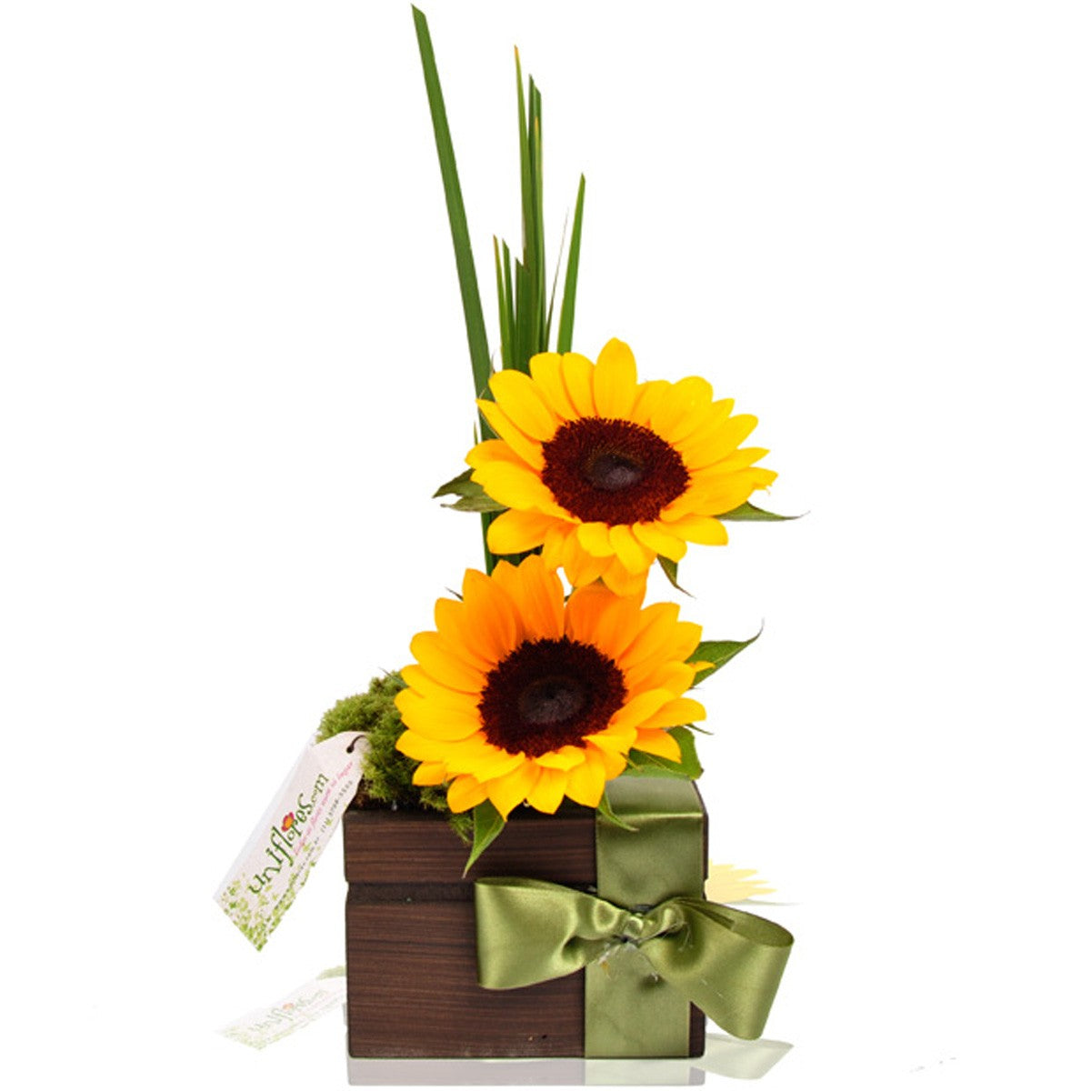 Arranjo Mimo de Girassóis - Cestas Company