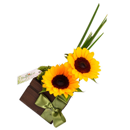 Arranjo Mimo de Girassóis - Cestas Company