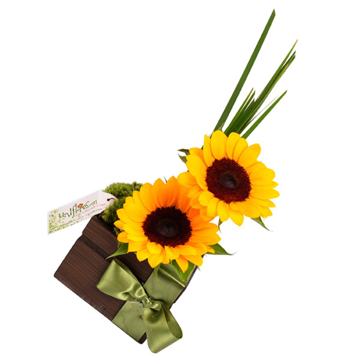 Arranjo Mimo de Girassóis com Bombons e Espumante - Cestas Company